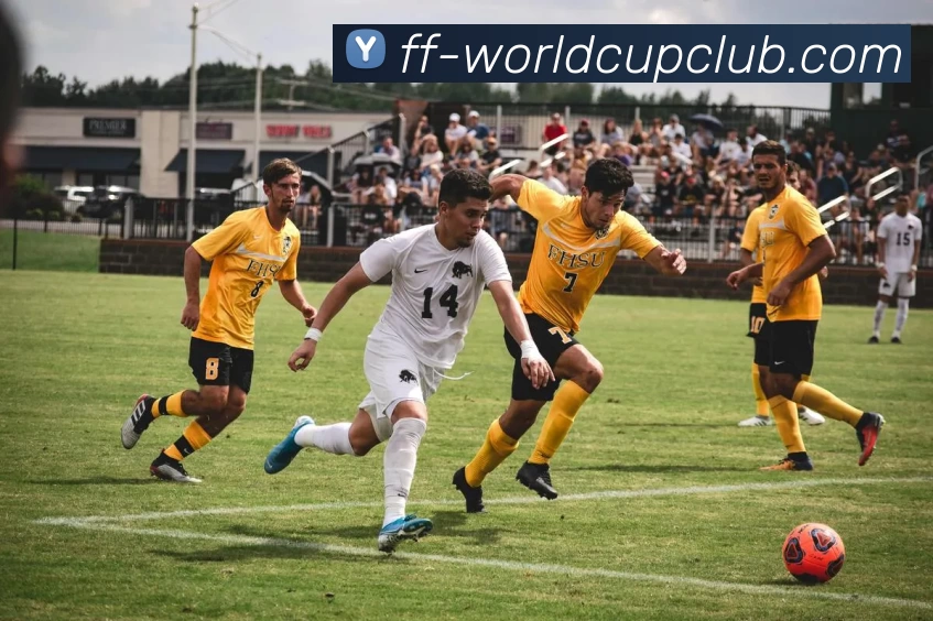 世界杯官方投注全站App